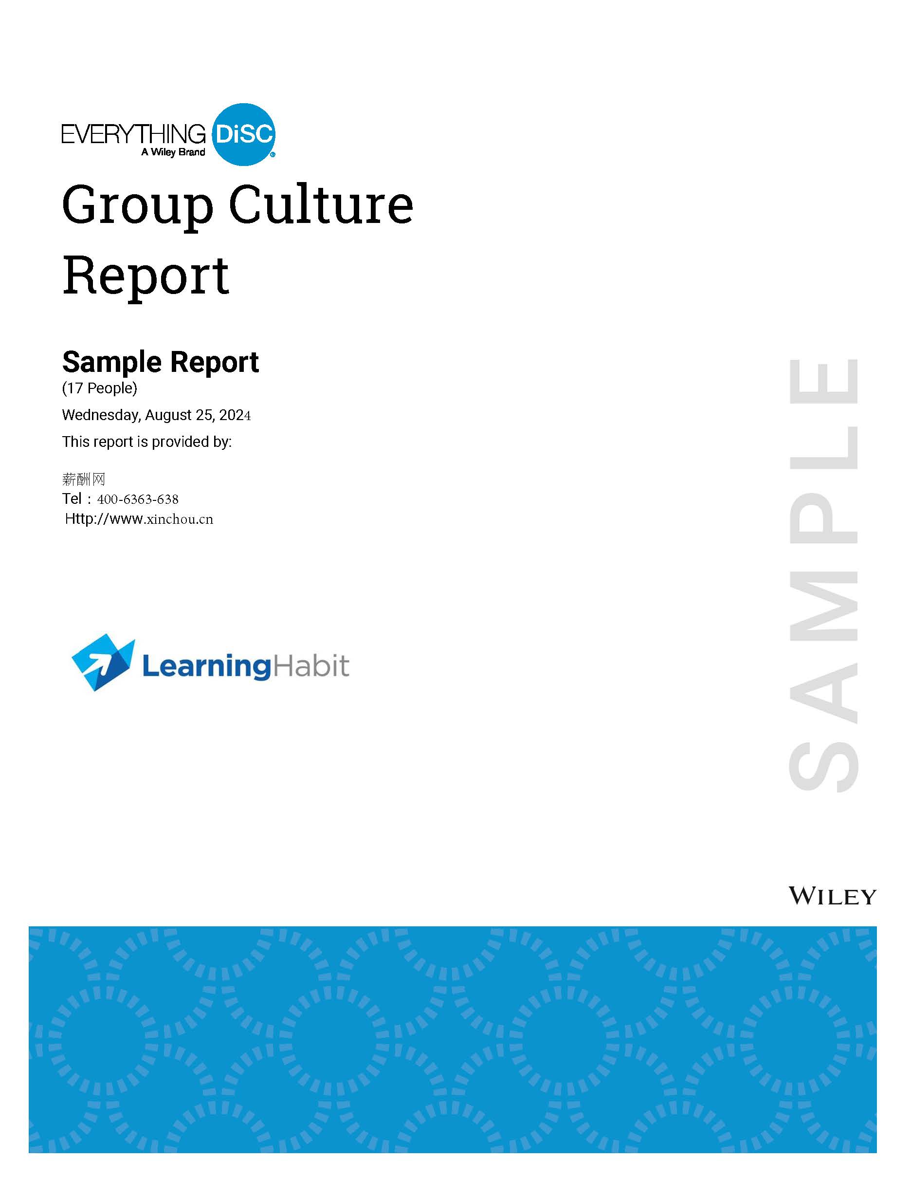 DISC团队文化分析测评报告：Group Culture Report 报告