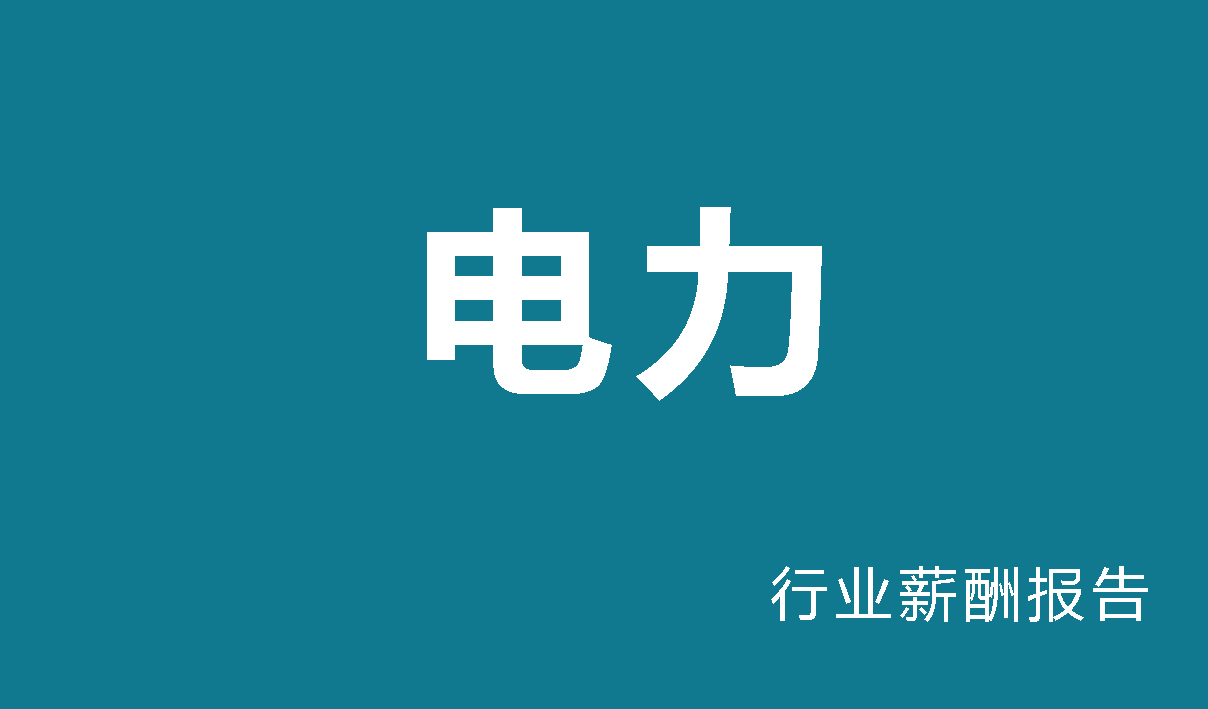 2024年电力行业薪酬报告