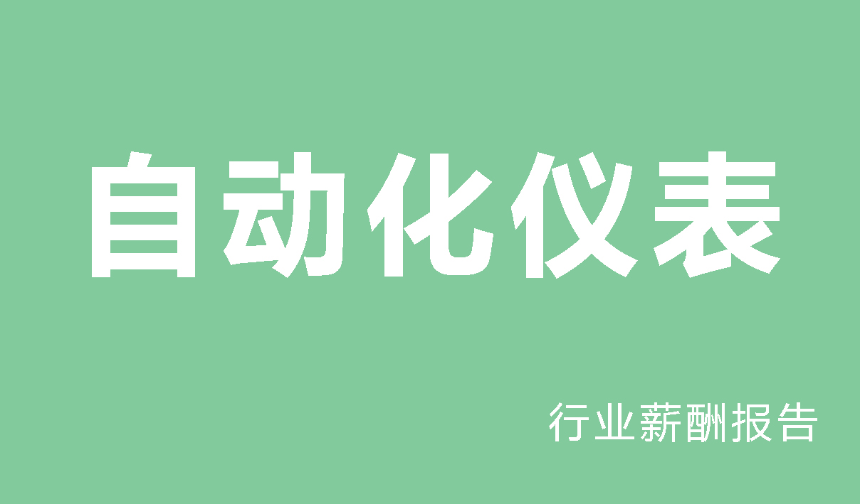 2025年自动化仪表行业薪酬报告