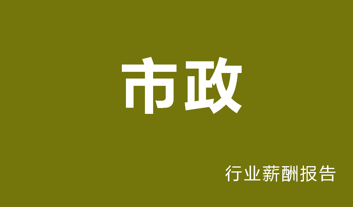 2025年市政行业薪酬报告（国有企业）