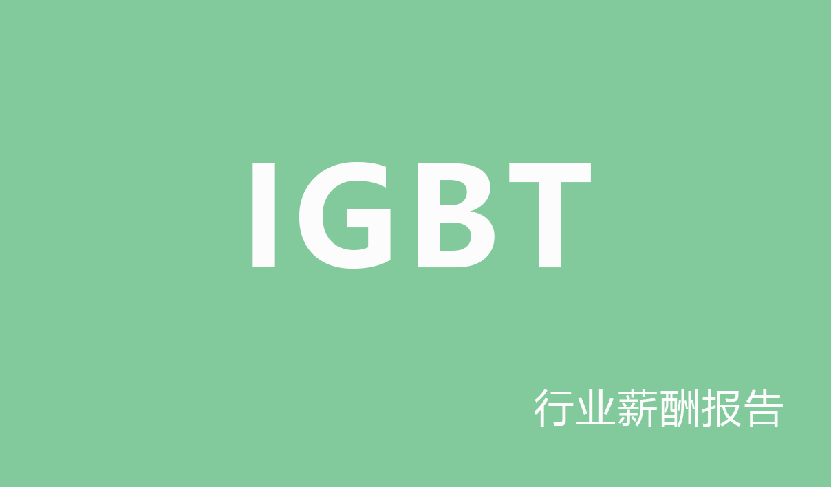 2025年IGBT行业薪酬报告