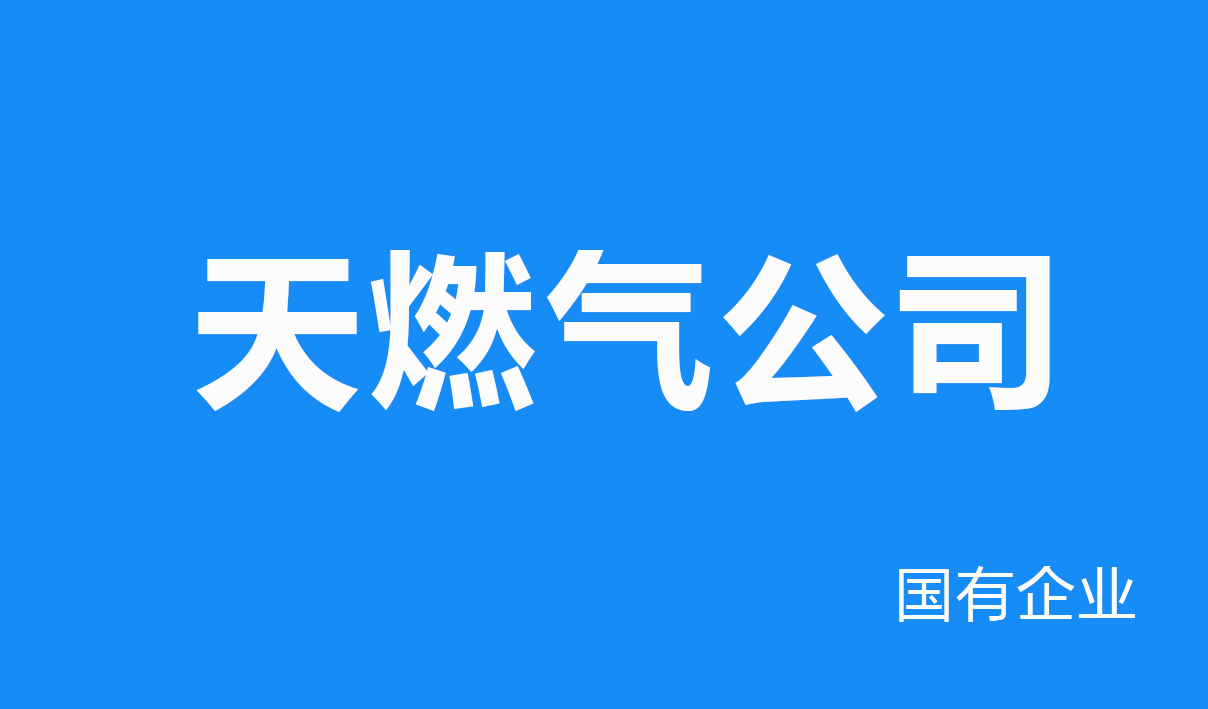 2025年天燃气公司行业（国有企业）