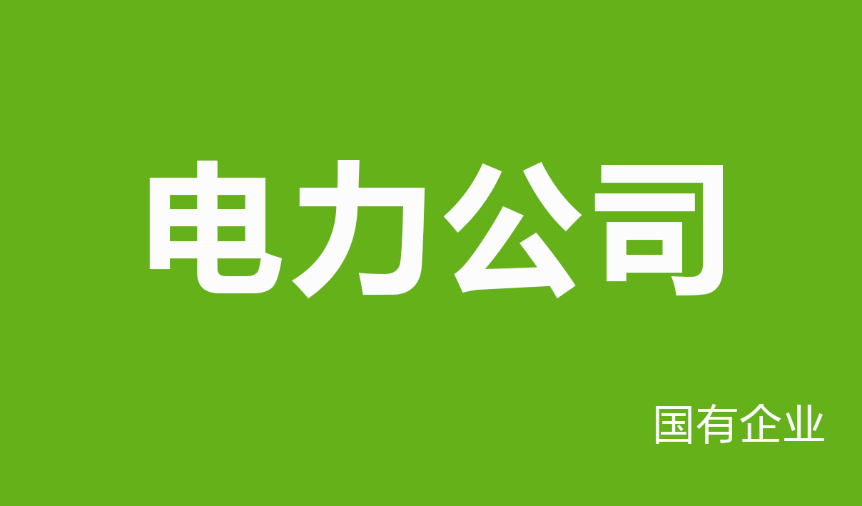 2025年电力公司行业（国有企业）