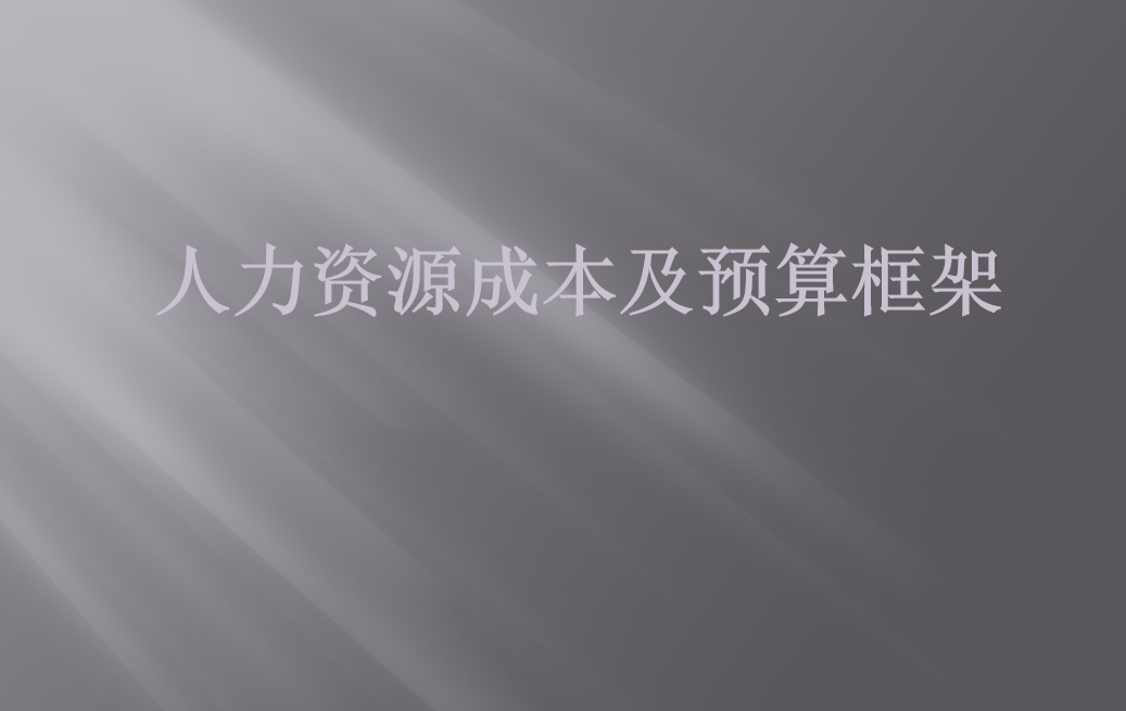 第2期资料— HR实战100项张略工具+框架体系(图3)