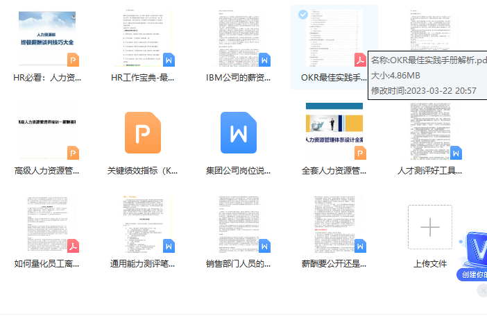 第57期资料—薪酬模块常用文件资料 (参考案例）(图8)