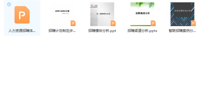 第171期资料合集—人才战略规划（名企案例分析）(图7)