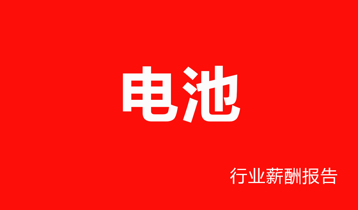 电池行业薪酬报告-