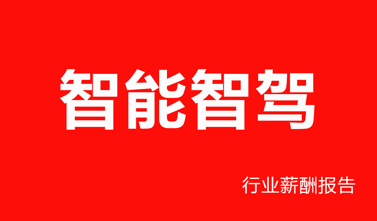 智能智驾行业薪酬报告