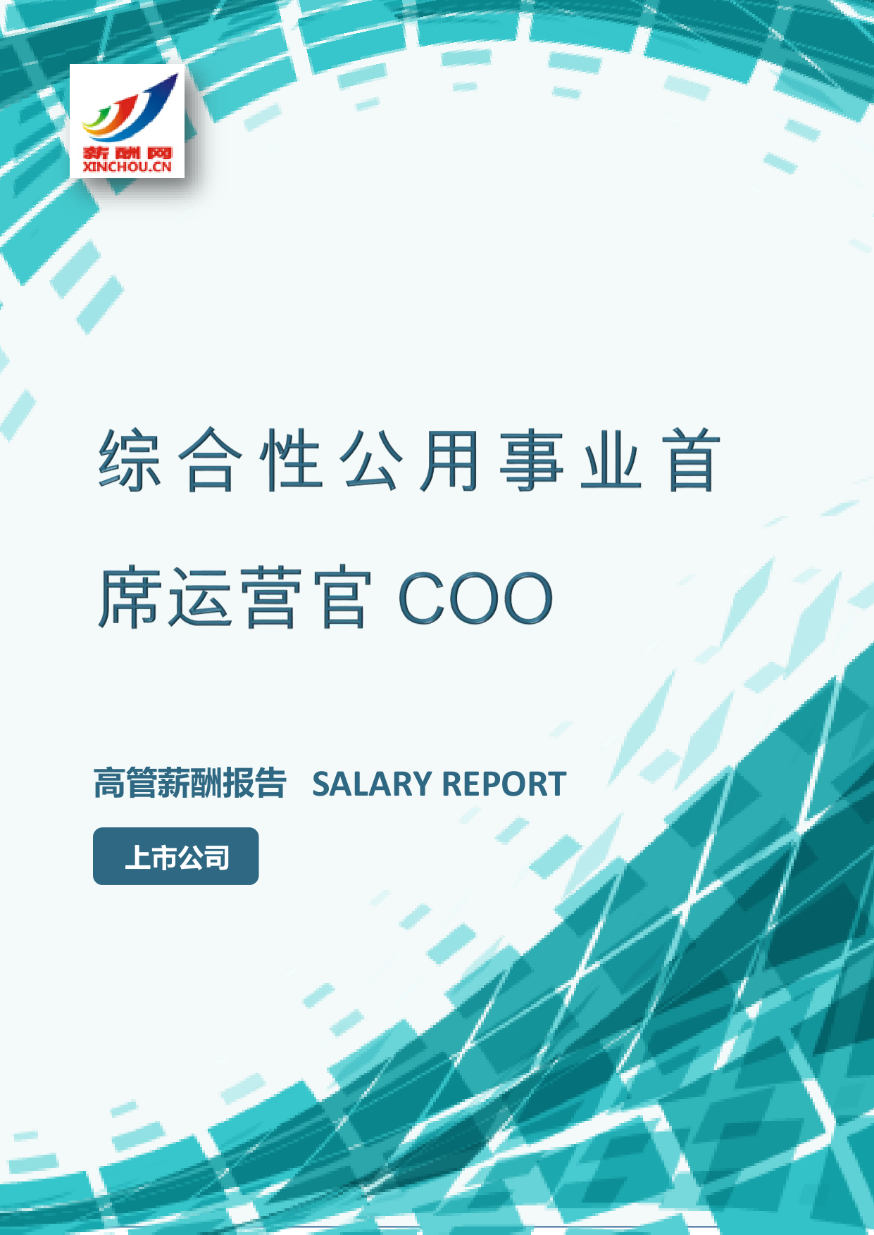 综合性公用事业首席运营官COO