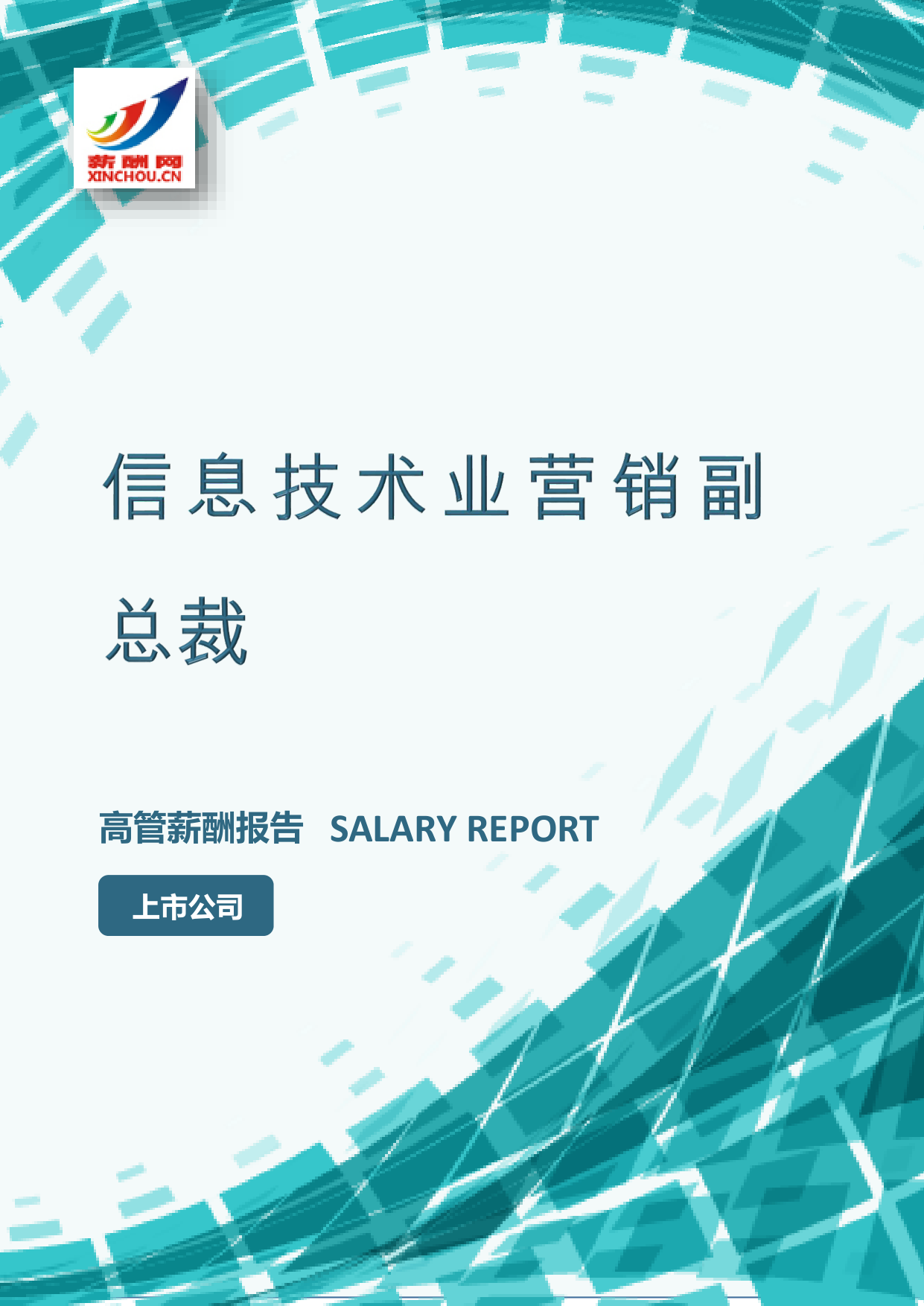 信息技术业营销副总裁
