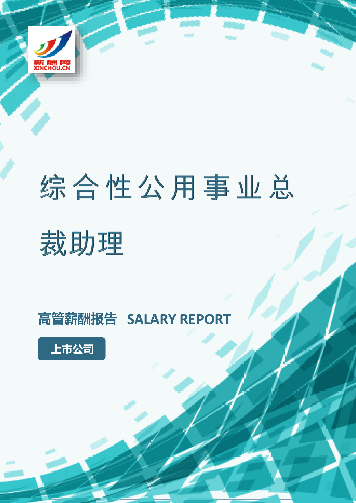 综合性公用事业总裁助理