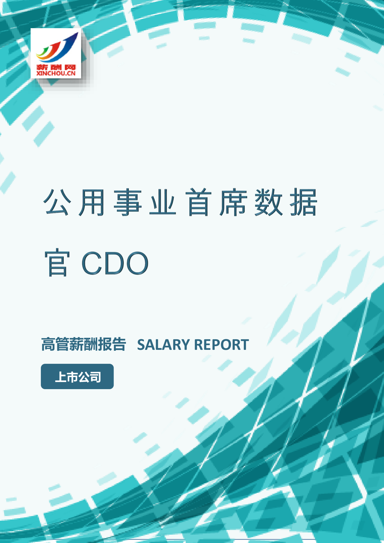 公用事业首席数据官CDOIC设计总监岗位薪酬调查报告(图2) 样本数据图A.png