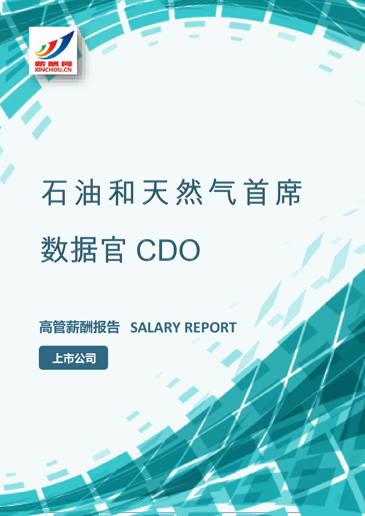 石油和天然气首席数据官CDOIC设计总监岗位薪酬调查报告(图2) 样本数据图A.png
