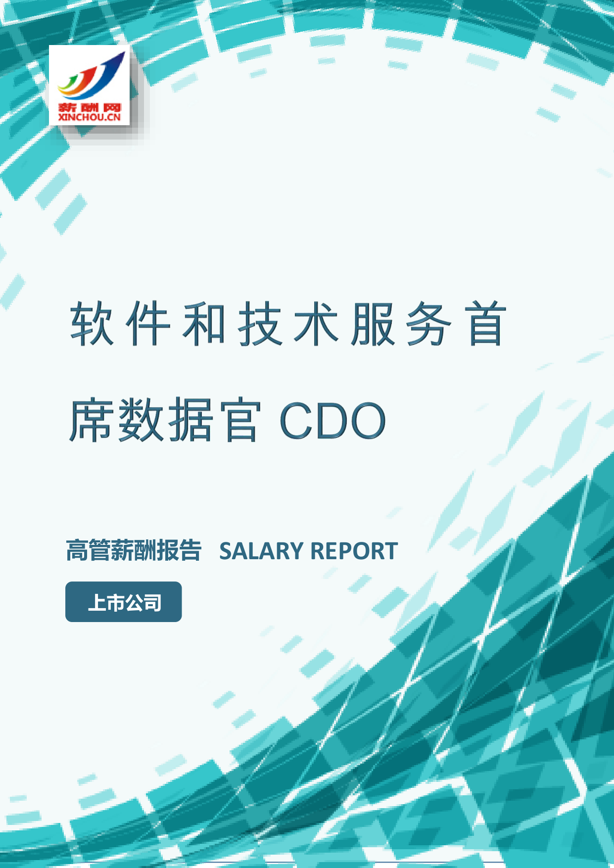 软件和技术服务首席数据官CDO