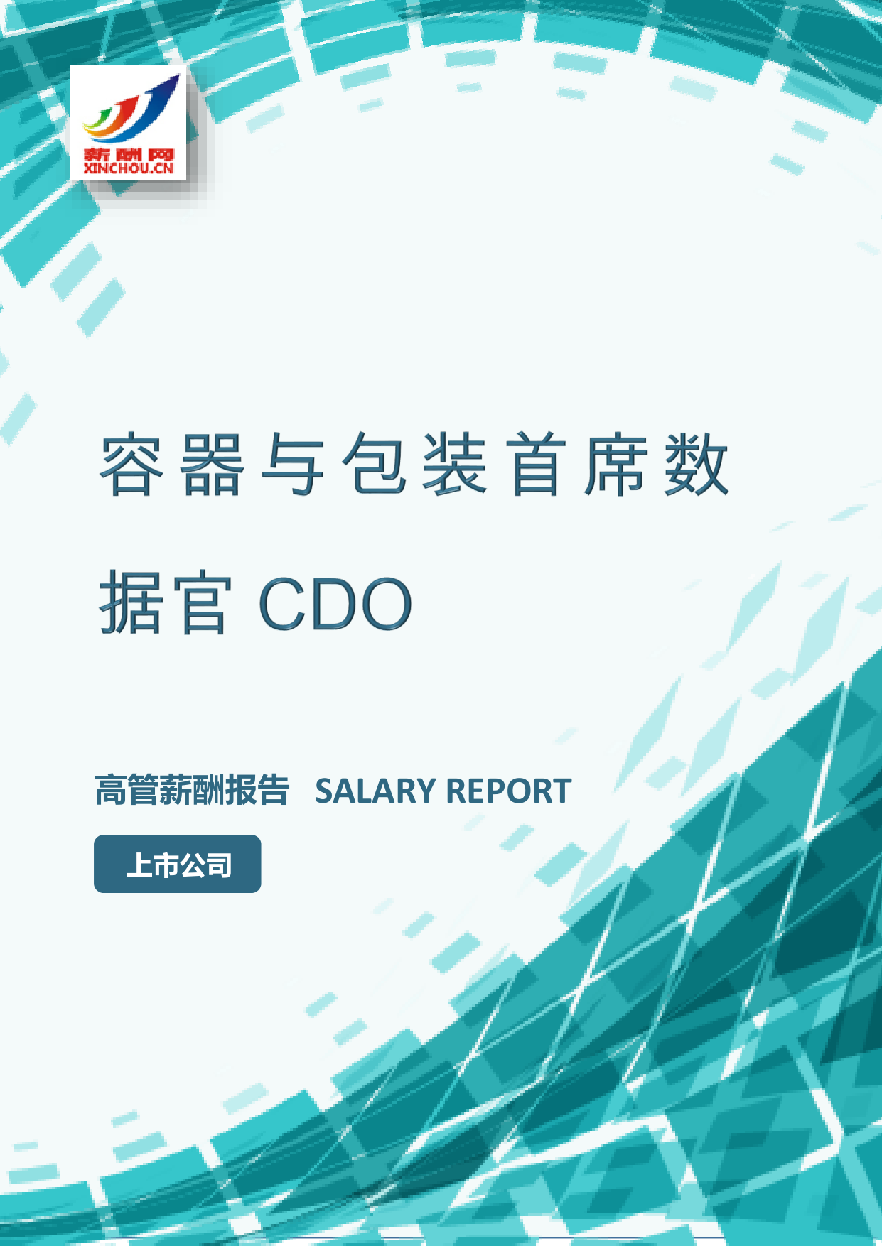 容器与包装首席数据官CDO