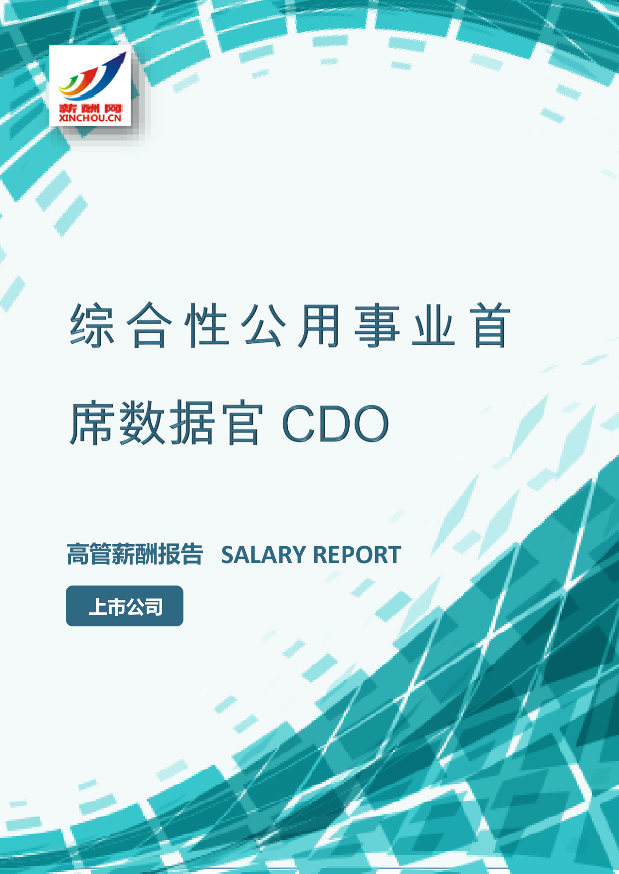 综合性公用事业首席数据官CDO
