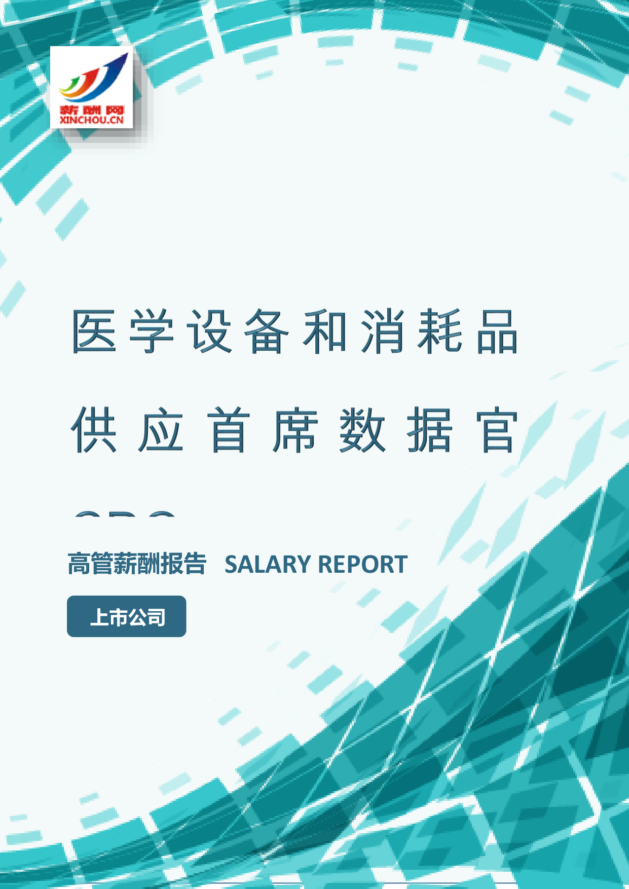 医学设备和消耗品供应首席数据官CDO