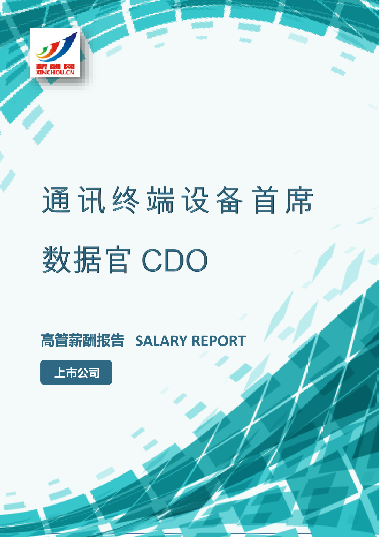 通讯终端设备首席数据官CDO