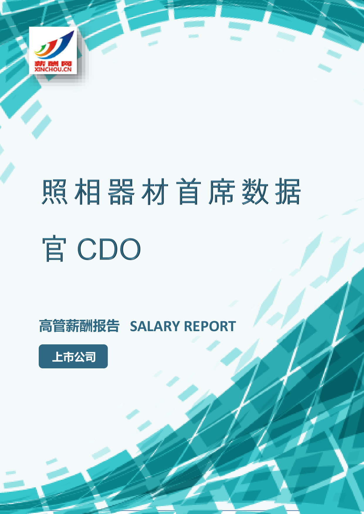照相器材首席数据官CDO