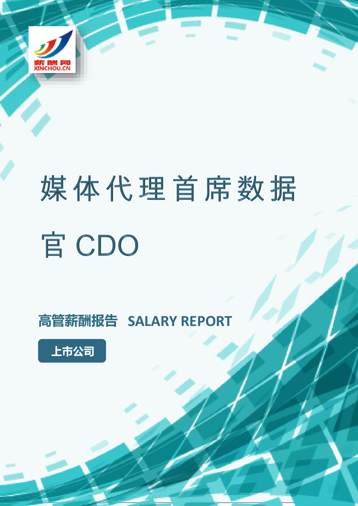 媒体代理首席数据官CDO