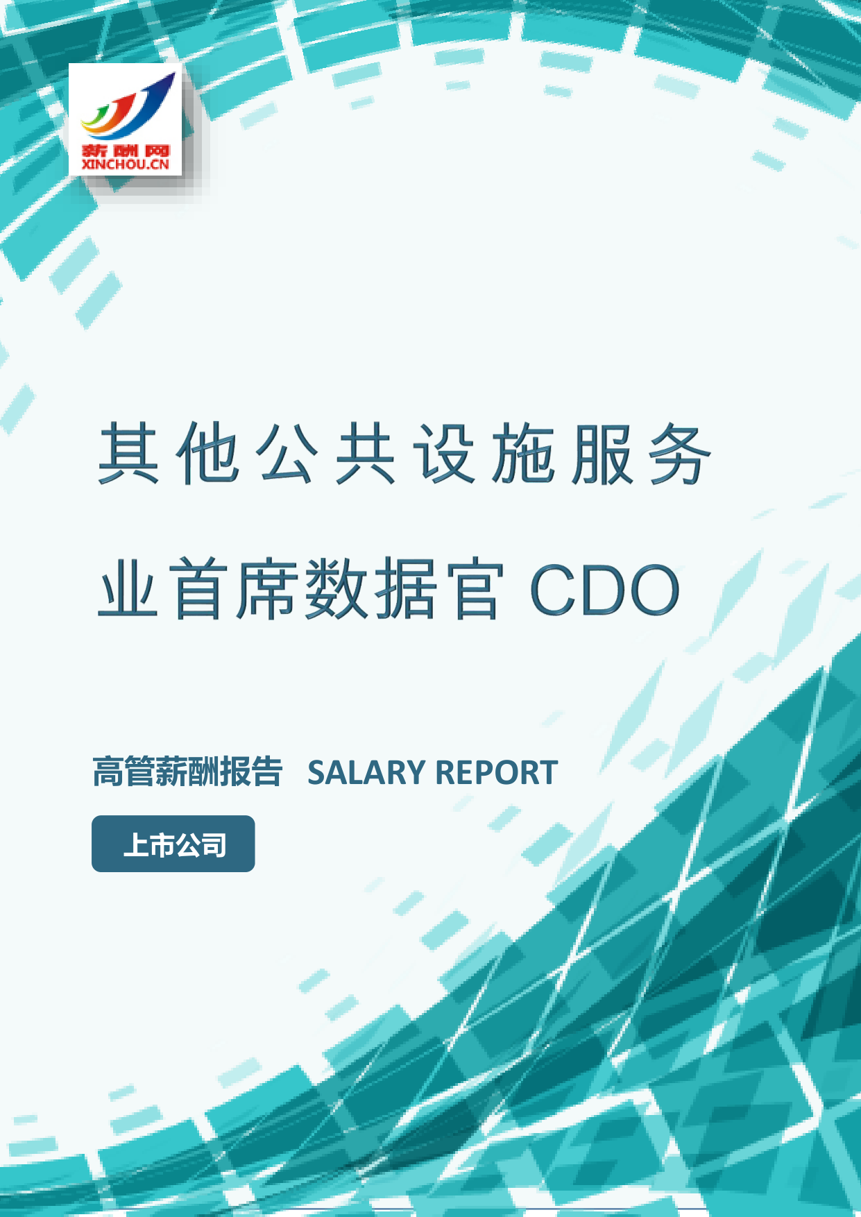 其他公共设施服务业首席数据官CDO