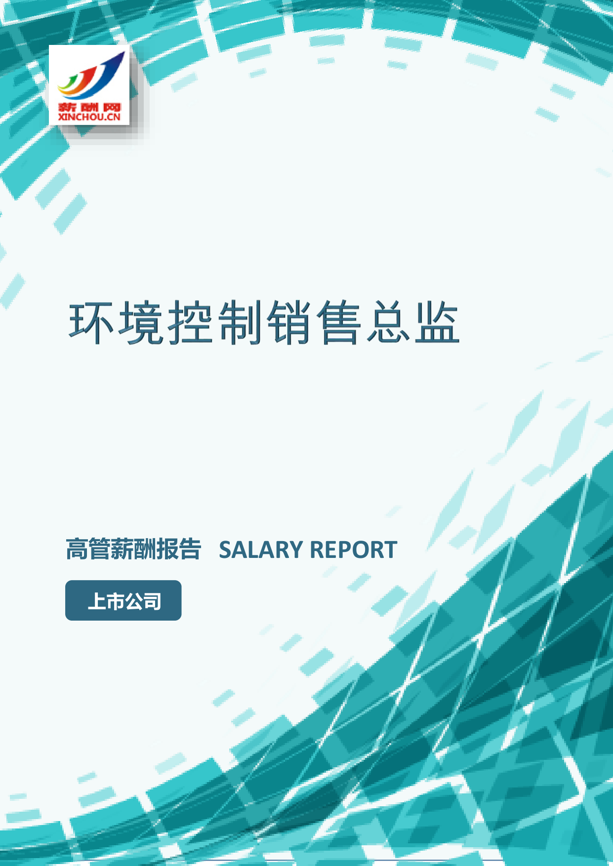 环境控制销售总监IC设计总监岗位薪酬调查报告(图2) 样本数据图A.png