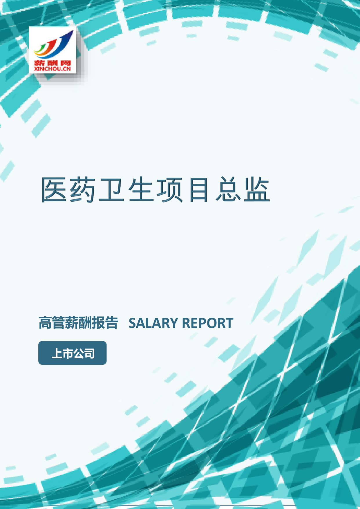 医药卫生项目总监IC设计总监岗位薪酬调查报告(图2) 样本数据图A.png