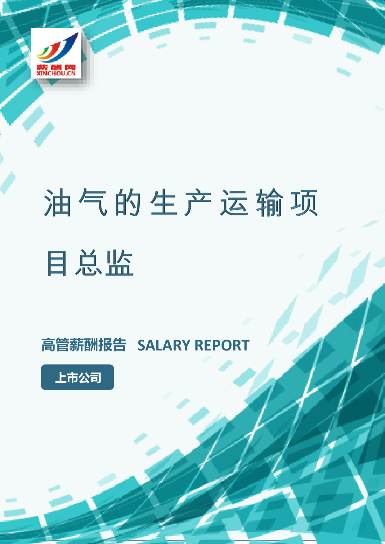 油气的生产运输项目总监IC设计总监岗位薪酬调查报告(图2) 样本数据图A.png