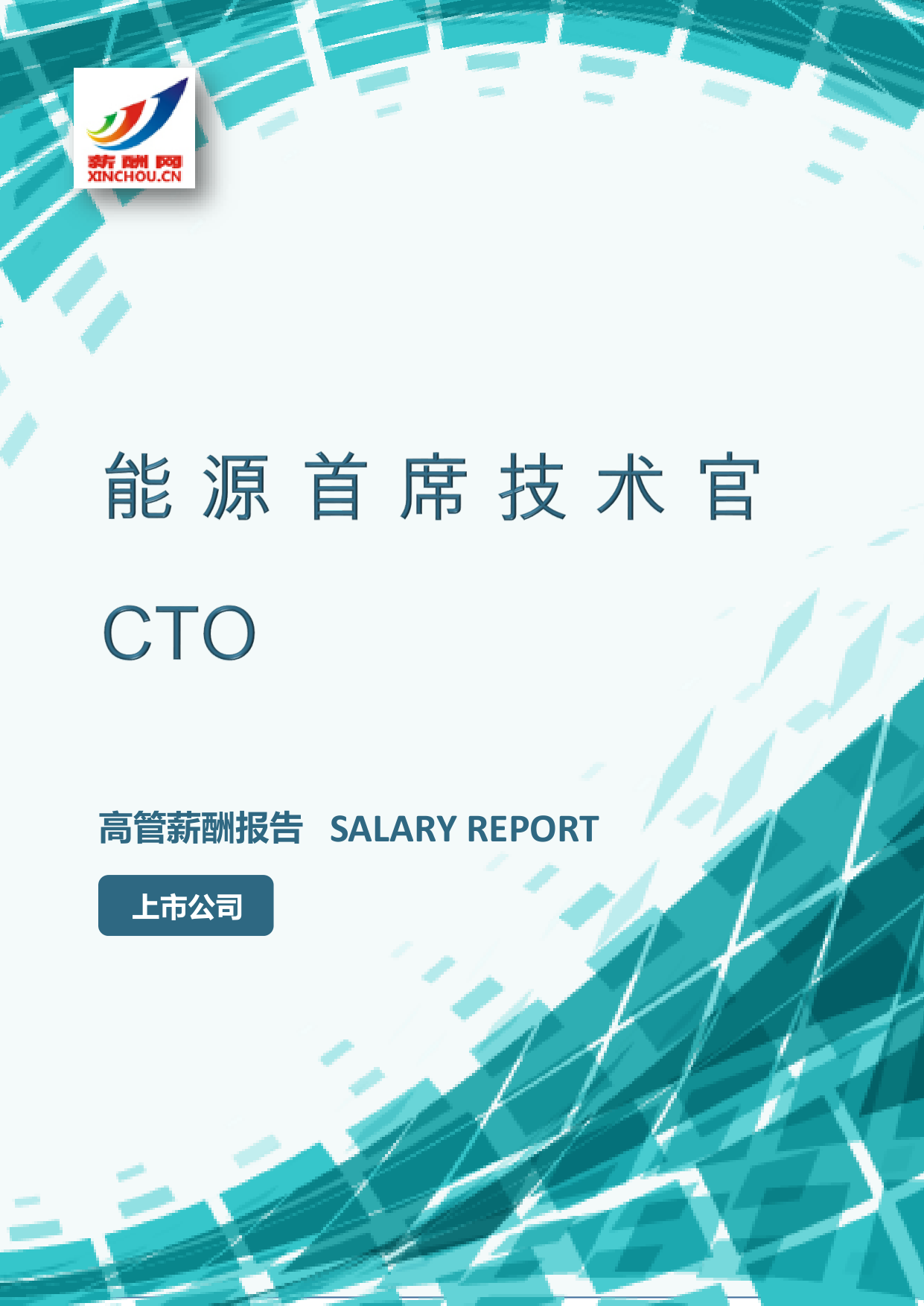 能源首席技术官CTO