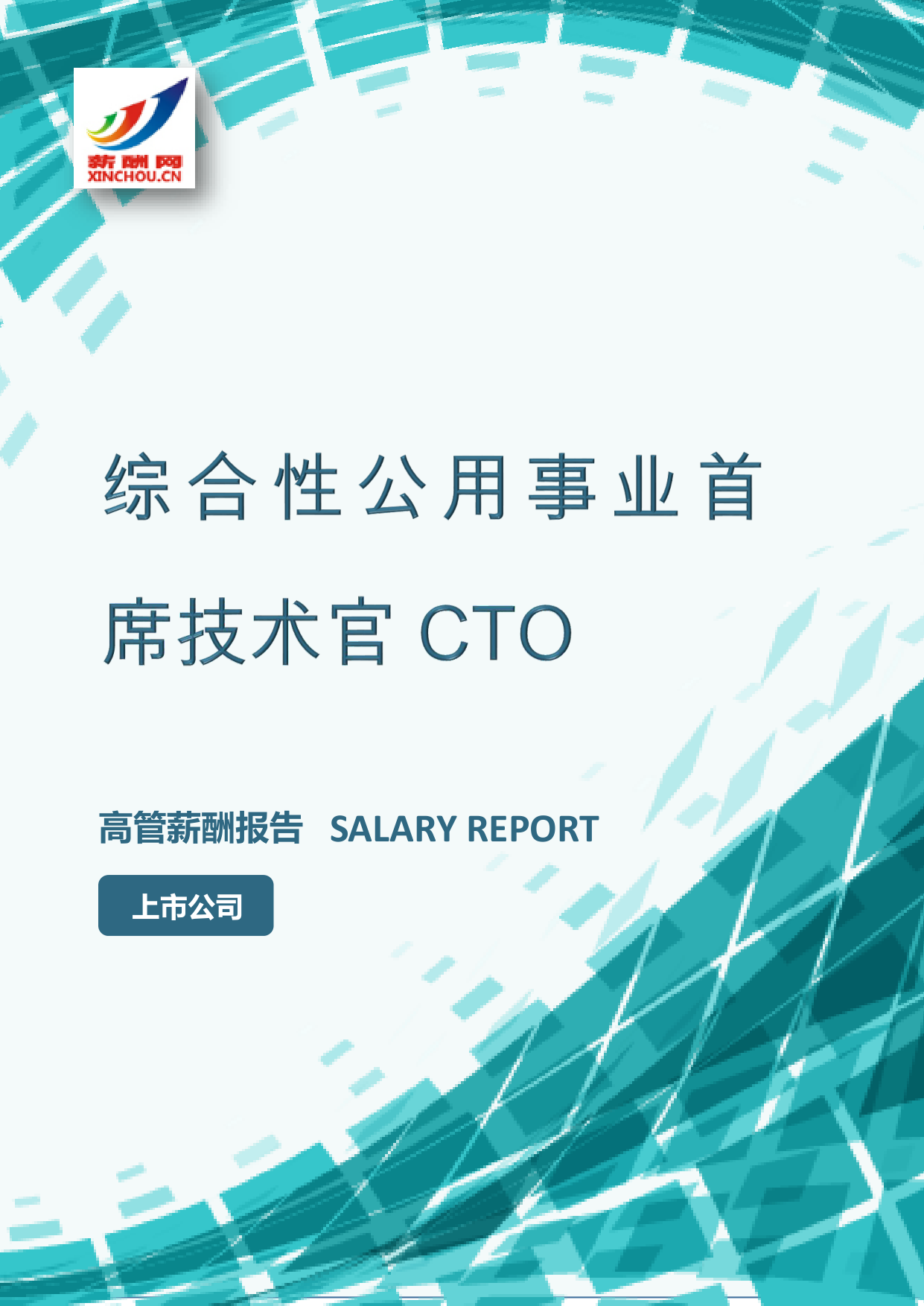 综合性公用事业首席技术官CTOIC设计总监岗位薪酬调查报告(图2) 样本数据图A.png
