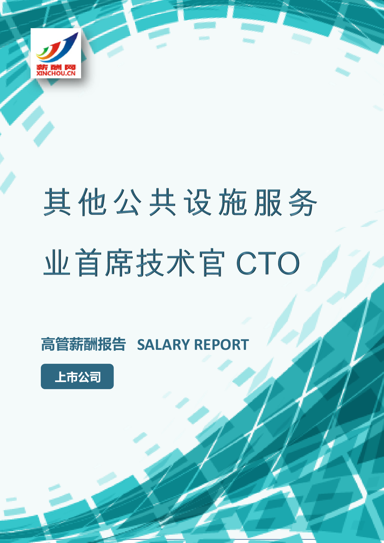 其他公共设施服务业首席技术官CTO