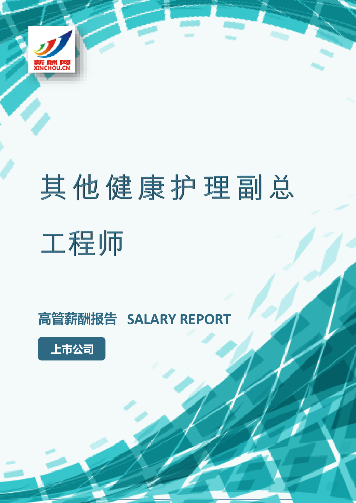 其他健康护理副总工程师