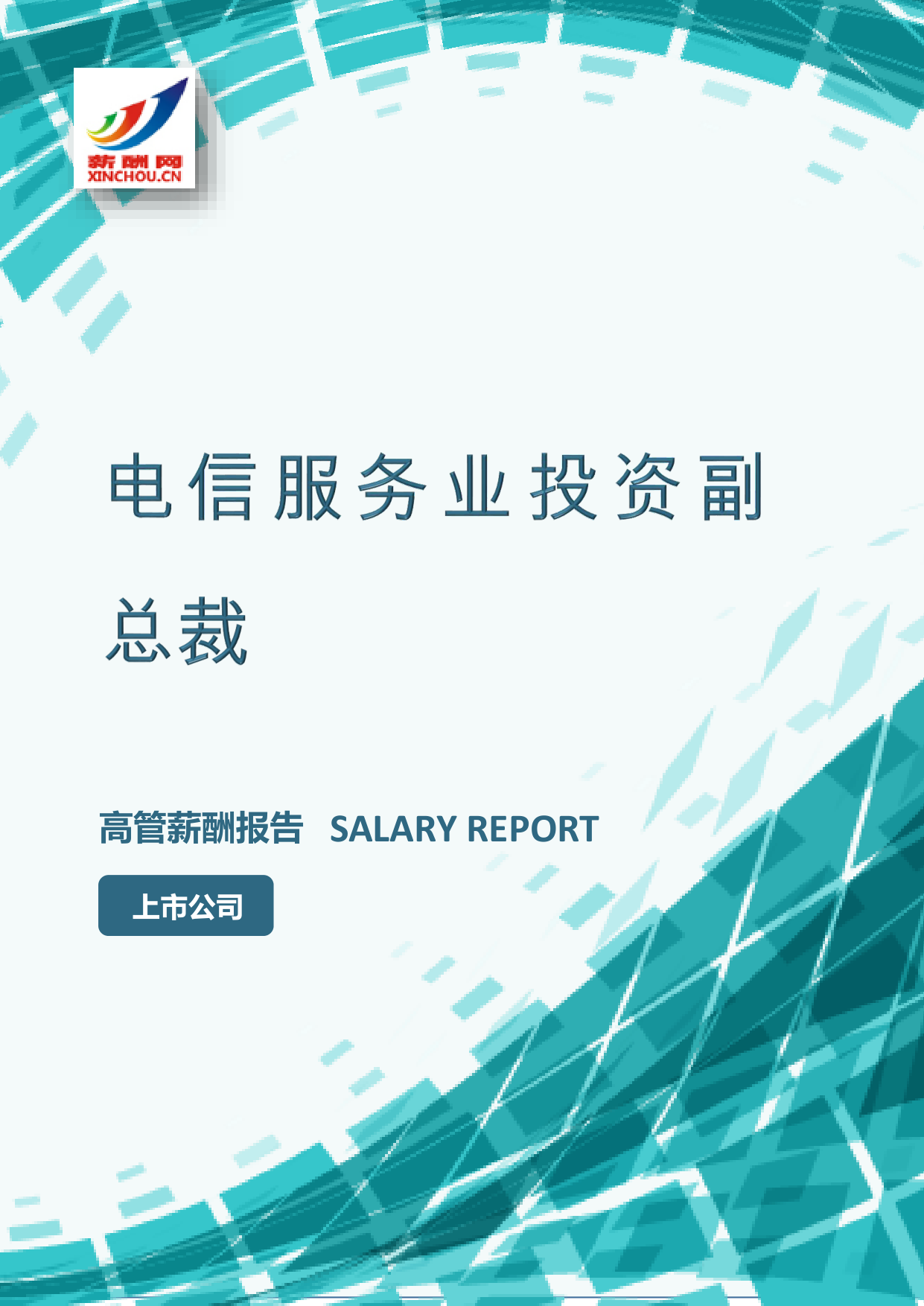 电信服务业投资副总裁