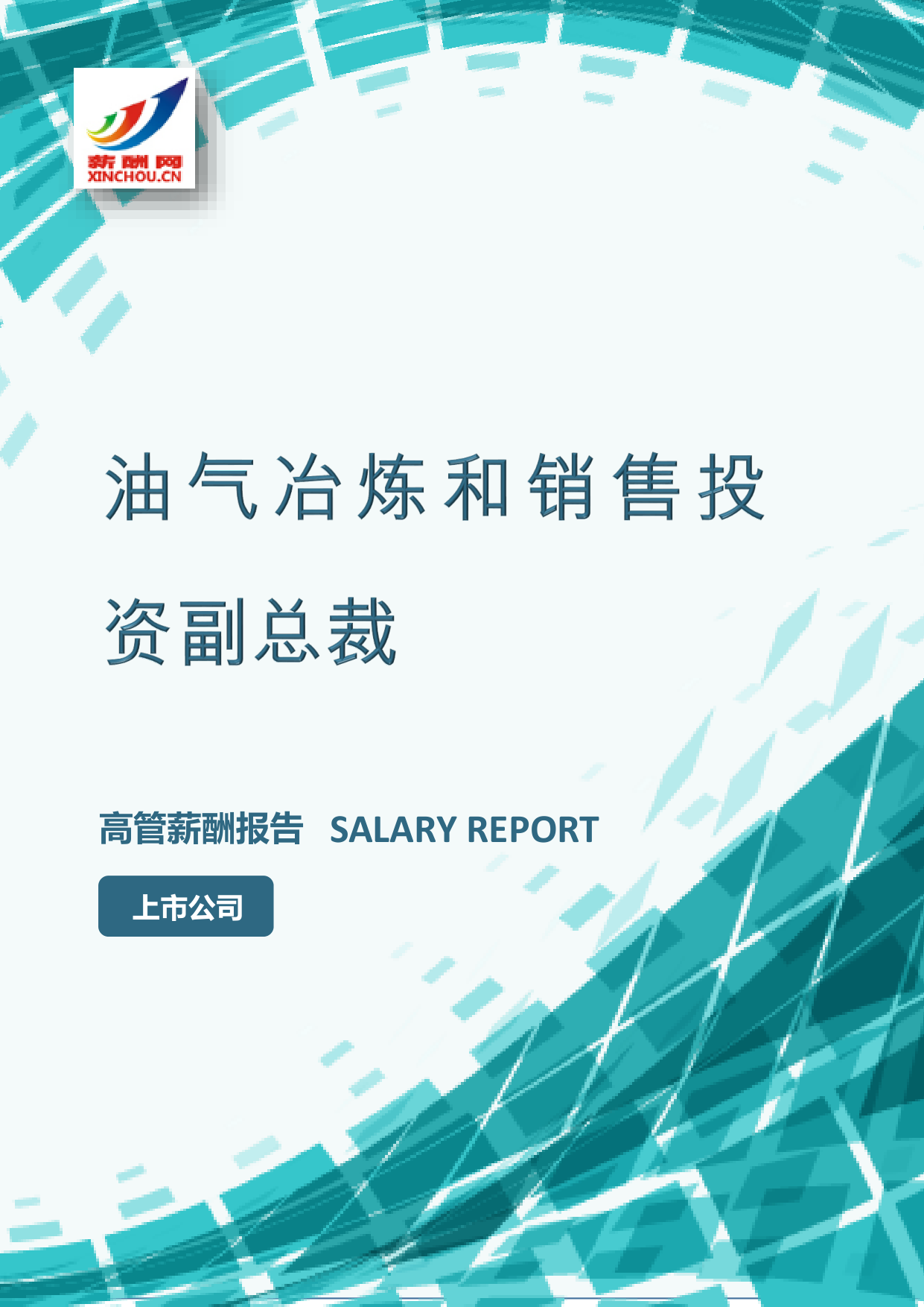 油气冶炼和销售投资副总裁IC设计总监岗位薪酬调查报告(图2) 样本数据图A.png